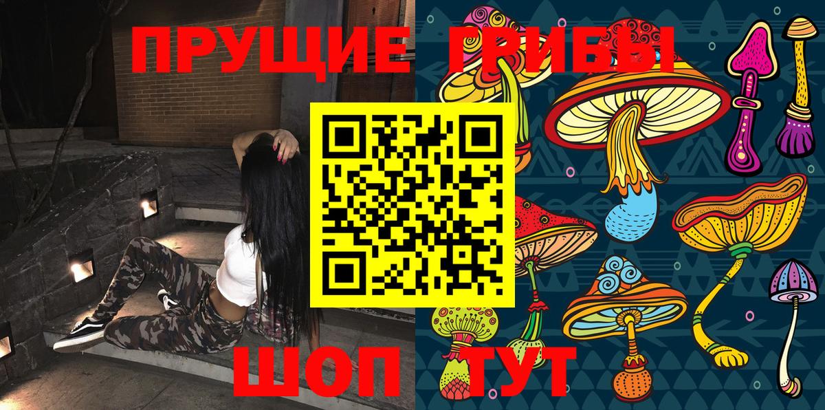 Соль-Илецк  Псилоцибиновые грибы Cubensis  магазин продажи   Вход с VPN 